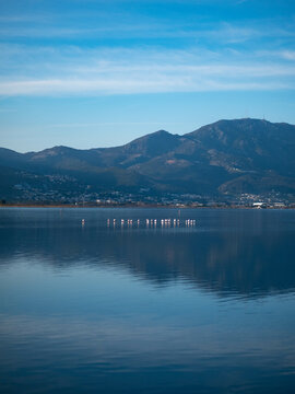 Etang de biguglia