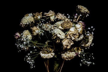 Closeup shot of dried wilting flowers on a black background - Powered by Adobe