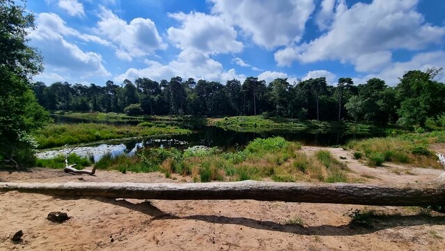 Oisterwijk forests and fens in North Brabant, the Netherlands