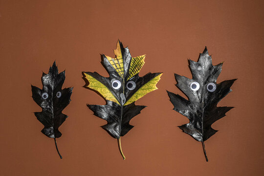 Black autumn leaves with funny eyes on a terracotta background. halloween concept
