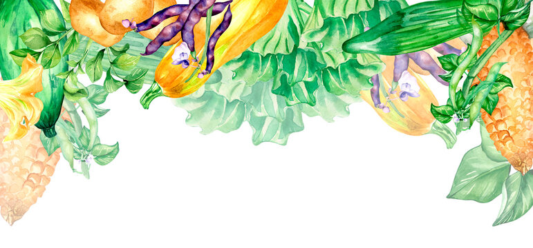 Banner of colorful vegetables watercolor illustration on white.