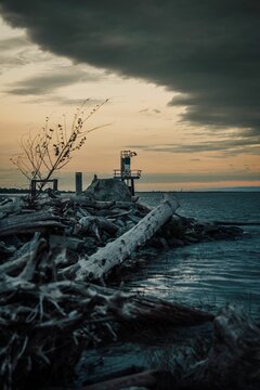 Vertical shot of cut trees on the shore against the sea and cloudy sky at sunset. Steveston, BC.