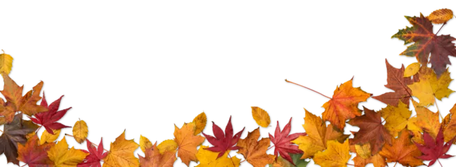 Fototapete Wasserfälle Autumn leaves border  © bramgino