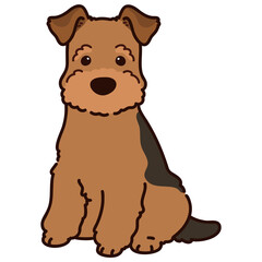 Simple and adorable Welsh Terrier illustration Sitting in Front view