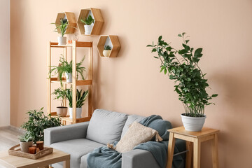 Interior of stylish living room with houseplants, sofa and shelving unit