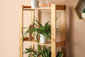 Shelving unit with different houseplants near beige wall