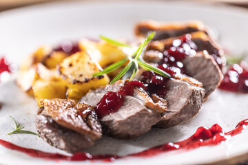 Culinarily prepared duck breast with baked potatoes and cranberry cauce.
