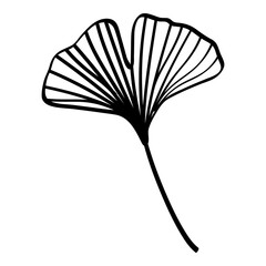 Black ginkgo leaves illustration