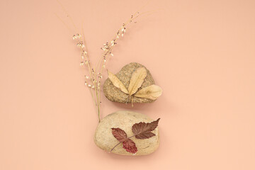 Creative autumn composition with yellowed dried leaves on stones and wild grass on light pink background. Arrangement of natural fall decor