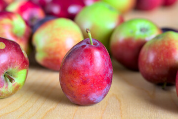 Concept for an simple autumn background. Close-up of fresh, organic fruit (apples, plums) on a wooden table. Shallow depth of field, copy space.