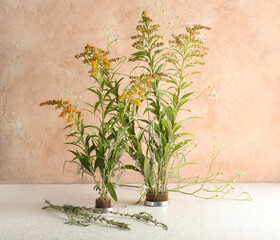 Kenzans with beautiful ikebana on table near beige wall