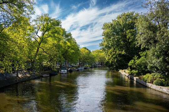 Regent's Canal View With Flowing Water And Green Trees On Both Sides Sky Blurred In The Background