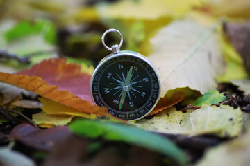 A compas lying on the wood surrounded by autumn leaves