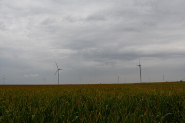 Fototapeta na wymiar Wind turbines in the field
