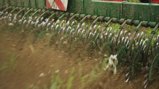 Footage of a green rotary hoeing in the field in motion