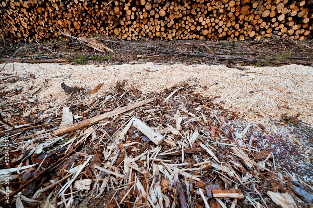 Poster top view of dry twigs on the ground with stack of wooden logs in the background