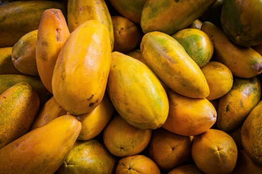 Messy heap of ripe papayas