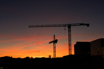 Fototapeta premium cranes in the evening sky