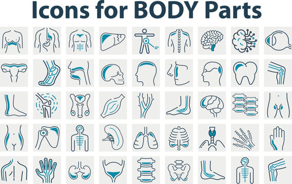 Set of icons for body parts