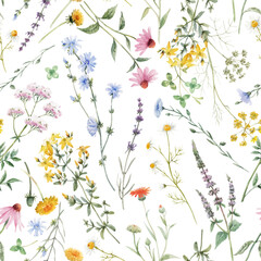 Beautiful vector floral seamless pattern with watercolor hand drawn summer wild field flowers. Stock illustration.