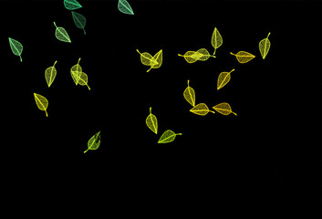 Dark Green, Yellow vector hand painted texture.