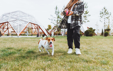 a little girl walks her dog in a city park. a child plays with a Jack Russell terrier outdoors. The concept of pet care