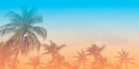 Fototapeta na wymiar The banner of Summer colorful theme with palm trees background as texture frame background