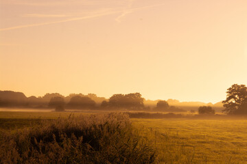 Feld in Rot 