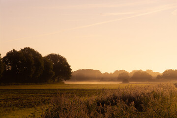 Fototapeta premium Feld in Rot 