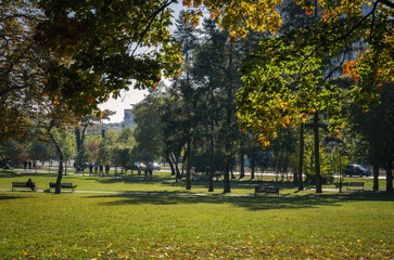 SUNNY AUTUMN - Colorful trees in a city park