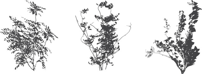 Naklejka premium Set of ornamental black plant in the form of a hedge.Realistic garden shrub, seasonal bush, boxwood, tree crown bush foliage.For decorate of a park, a garden or a fence.