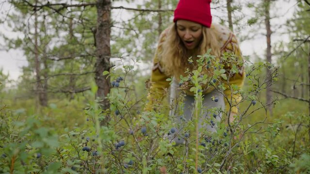 Young woman finds yummy wild berries growing on branches
