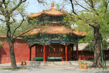buddhist temple (yonghe) in beijing (china)