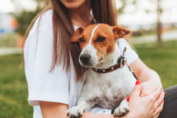 A woman holds and hugs her Jack Russell Terrier dog in the park. Loyal best friends since childhood. a woman feeds her dog from the palm of her hand .animal feed
