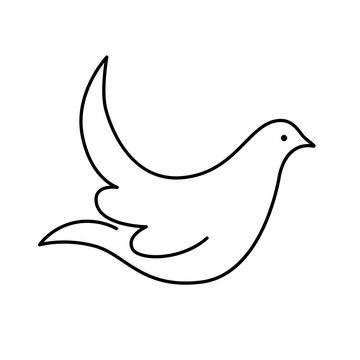 Dove of peace linear image, symbol. Vector isolated on white background