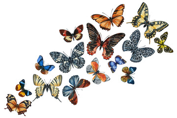 Swarm tropical butterflies on an isolated white background, watercolor painting. Hand painted fashion colors