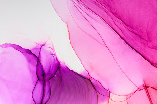 Abstract alcohol ink fluid art background. Pink and purple color