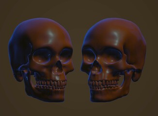 human skull, skeleton, bone, halloween