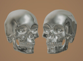 human skull, skeleton, bone, halloween