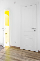 New Scandinavian-style apartment with white doors and white walls