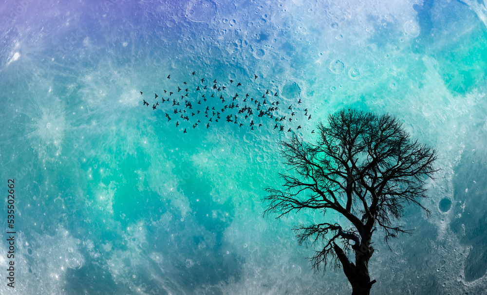 Poster silhouette of birds flying over lone tree with aurora against super moon 