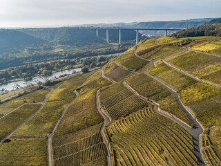 Aerial view Famous German Wine Region Moselle River Lay and Guels village Autumn Fall colors