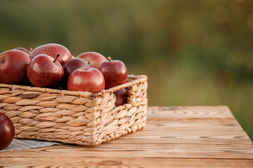 Obraz premium Fresh ripe red apples in the basket on wooden table with natural orchard background. Vegetarian fruit composition. Harvesting concept