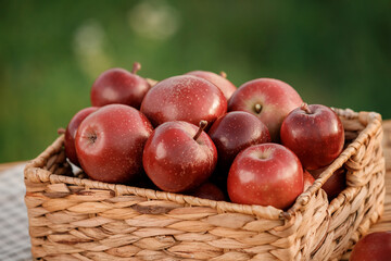 Fresh ripe red apples in the basket on wooden table with natural orchard background. Vegetarian fruit composition. Harvesting concept