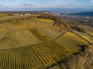 Naklejka premium Aerial view Famous German Wine Region Moselle River Lay and Guels village Autumn Fall colors