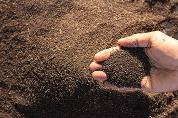 Worm manure in the hands of a farmer for planting trees.