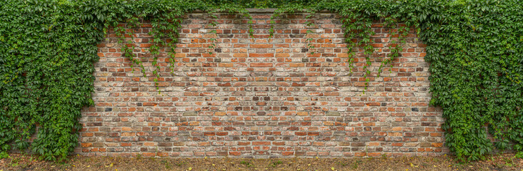 New Brick Wall Background