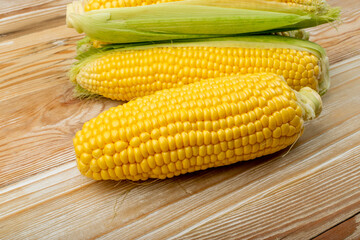 Sweet Corn Ears on Wooden Desk