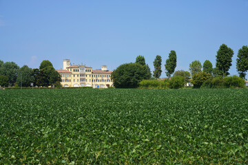 Summer landscape on the Colli Euganei, Padua, Italy