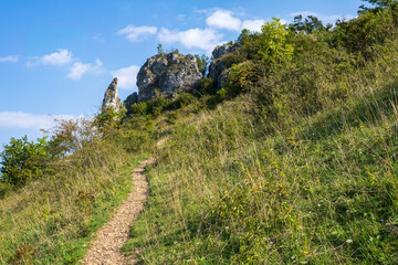 Fototapeta premium Narrow footpath up to the summit of the Ehrenbürg in Franconian Switzerland/Germany